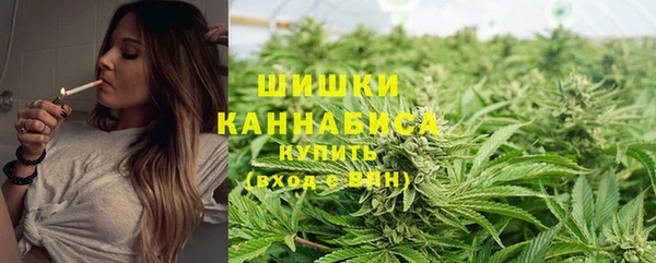 соль ск Корсаков