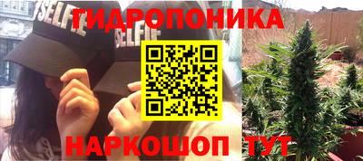 тгк Балаково