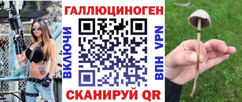 гидра онион  Фрязино  Псилоцибиновые грибы мухоморы 