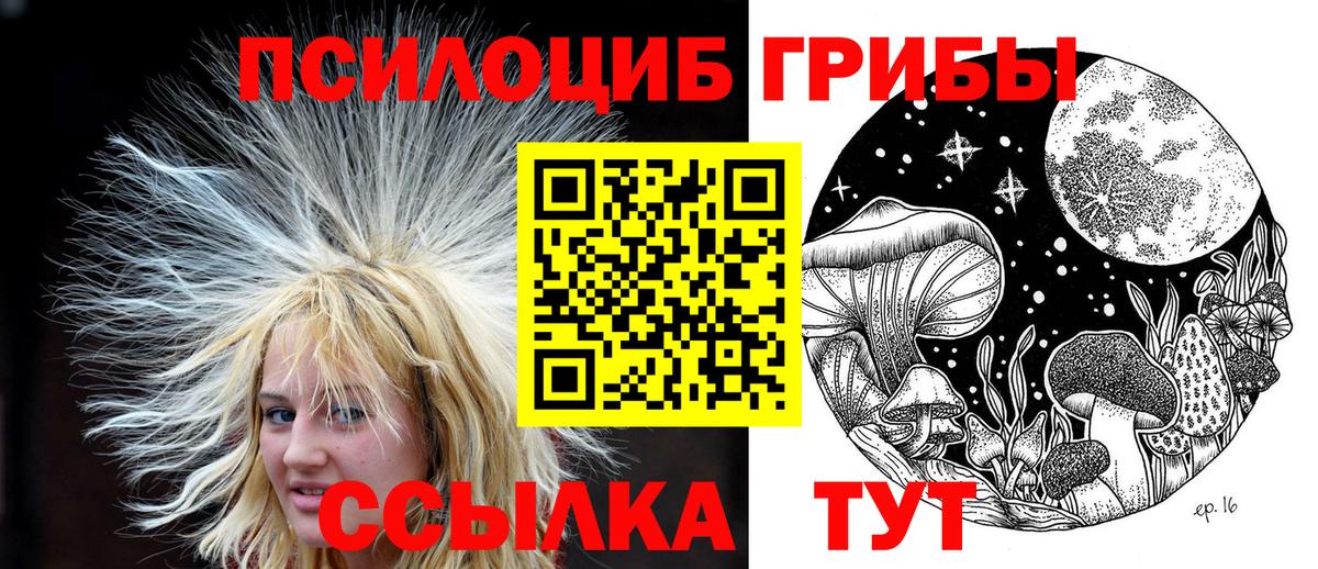 Псилоцибиновые грибы мицелий  Вход с VPN  Фрязино 