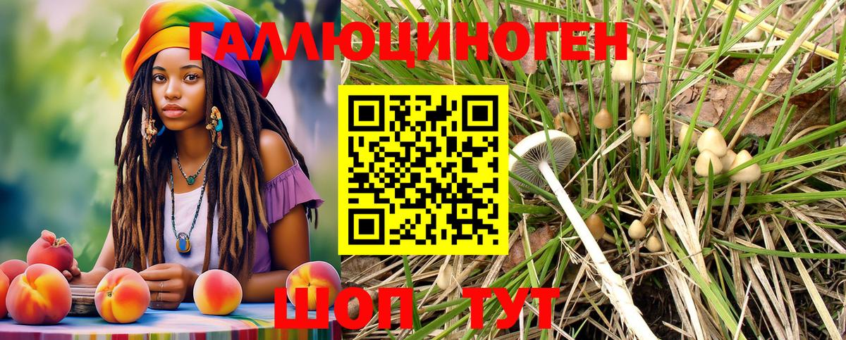 Галлюциногенные грибы прущие грибы Фрязино
