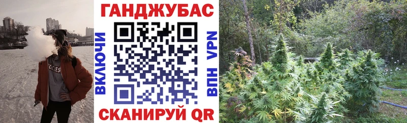 Канабис SATIVA & INDICA Фрязино